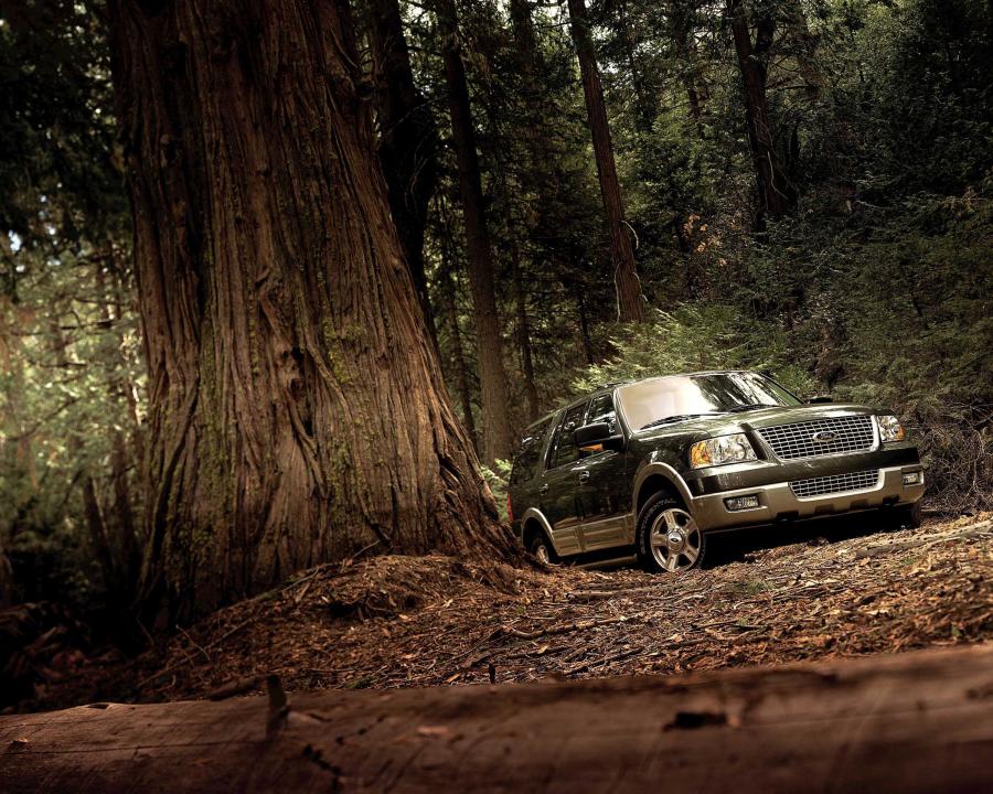  Ford Expedition 2003 года  (фото 91 из 169)